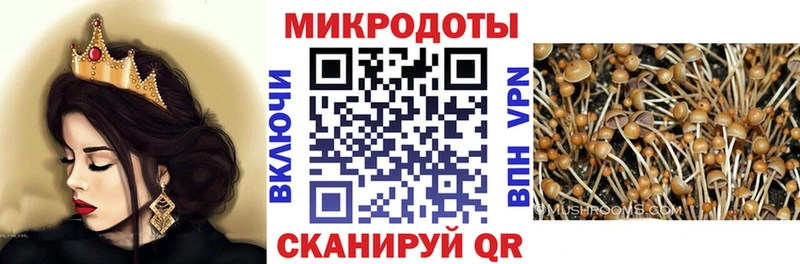 Галлюциногенные грибы Cubensis  Москва 