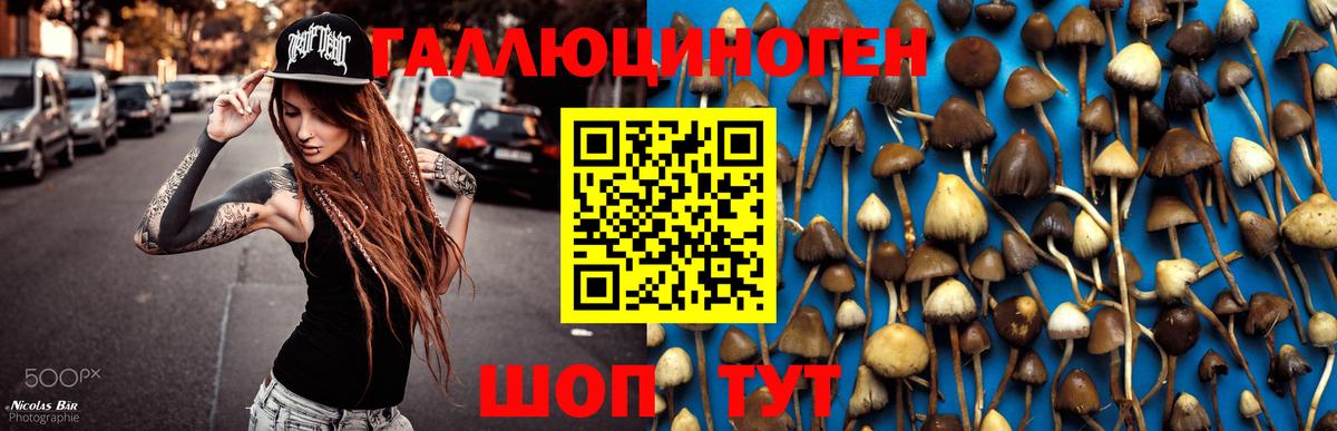 Псилоцибиновые грибы ЛСД  Вход с VPN  Москва 