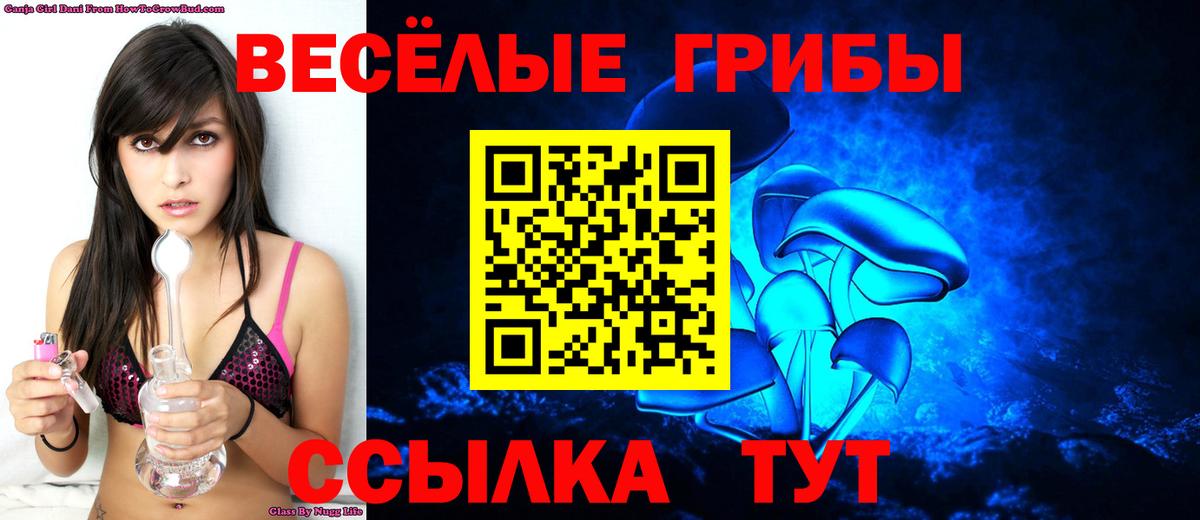 Псилоцибиновые грибы мухоморы Москва