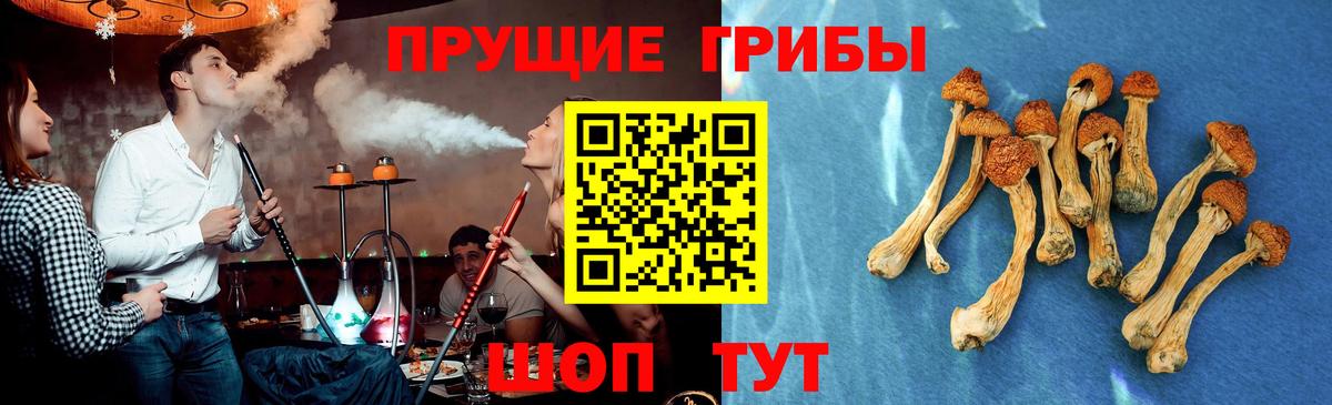 Псилоцибиновые грибы мицелий Москва